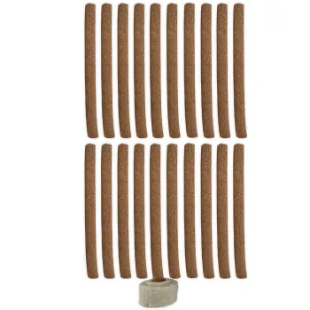 Zed Black 20 Incense Parfüm Dhoop Sticks CW Räucherstäbchen Indien 2