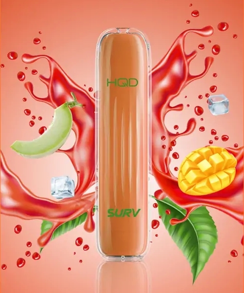 HQD Surv E-Shisha Vape Mango Melon Ice 600 Züge Nikotin 3
